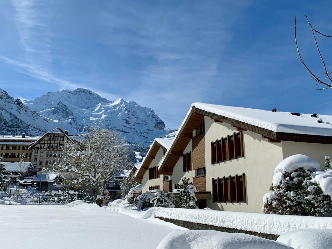 Chalet Primula Penthouse Wengen Extérieur photo